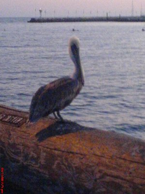 20080913-09.JPG