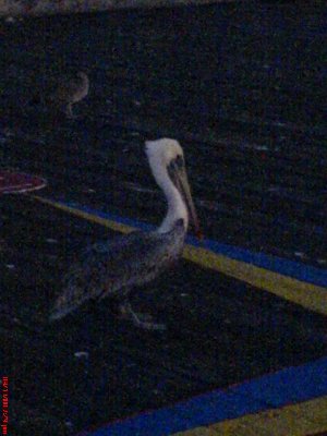 20080913-12.JPG