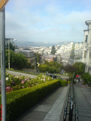 Garden + downhill + bay view (one of my favorite photos)<br />(Click on the thumbnail to enlarge the picture)