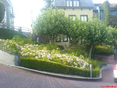 Garden<br />(Click on the thumbnail to enlarge the picture)