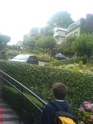 Crookedest Street<br />(Click on the thumbnail to enlarge the picture)