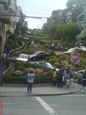 Crookedest Street<br />(Click on the thumbnail to enlarge the picture)