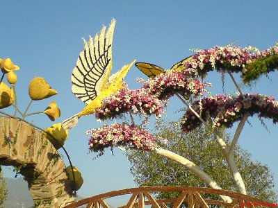 Hummingbird