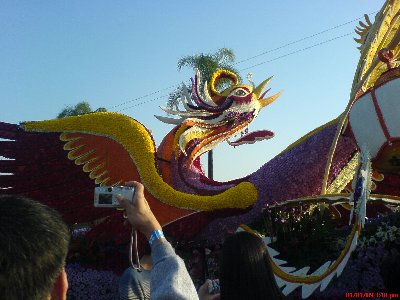 China Airlines (華航)