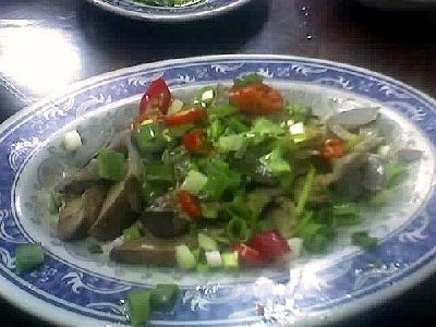 ap_F23_20090109032903118.jpg