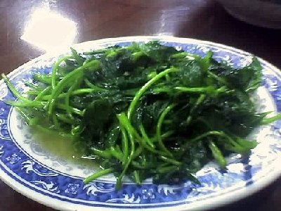 ap_F23_20090109032902199.jpg